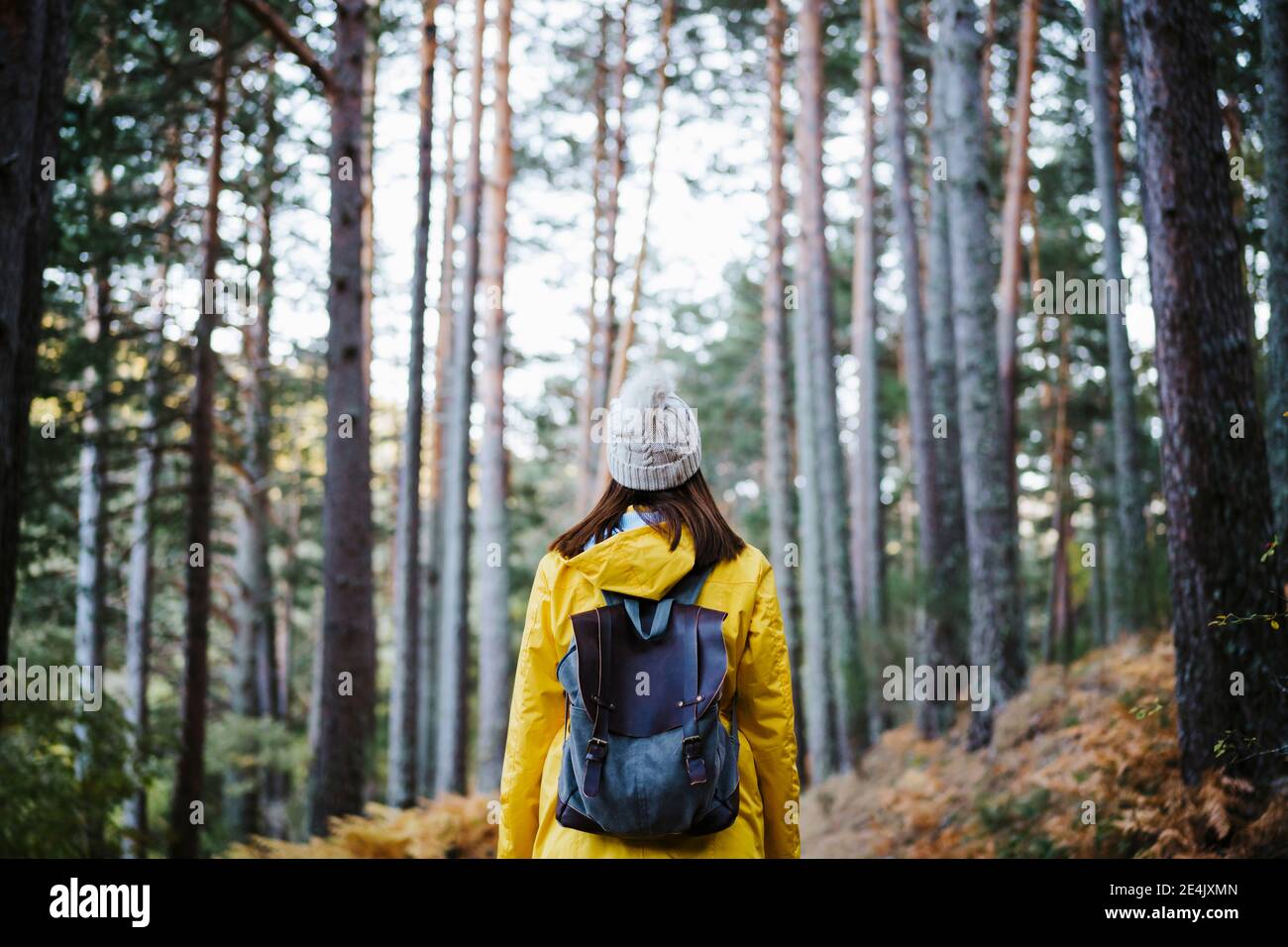 Woman in yellow raincoat forest hi-res stock photography and images - Alamy