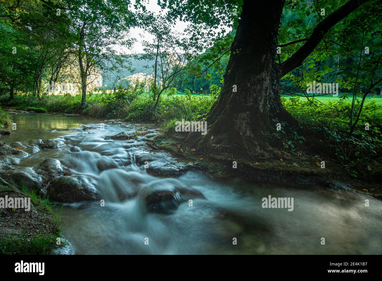 Stream amidst forest in Swabian Alb mountain, Germany Stock Photo