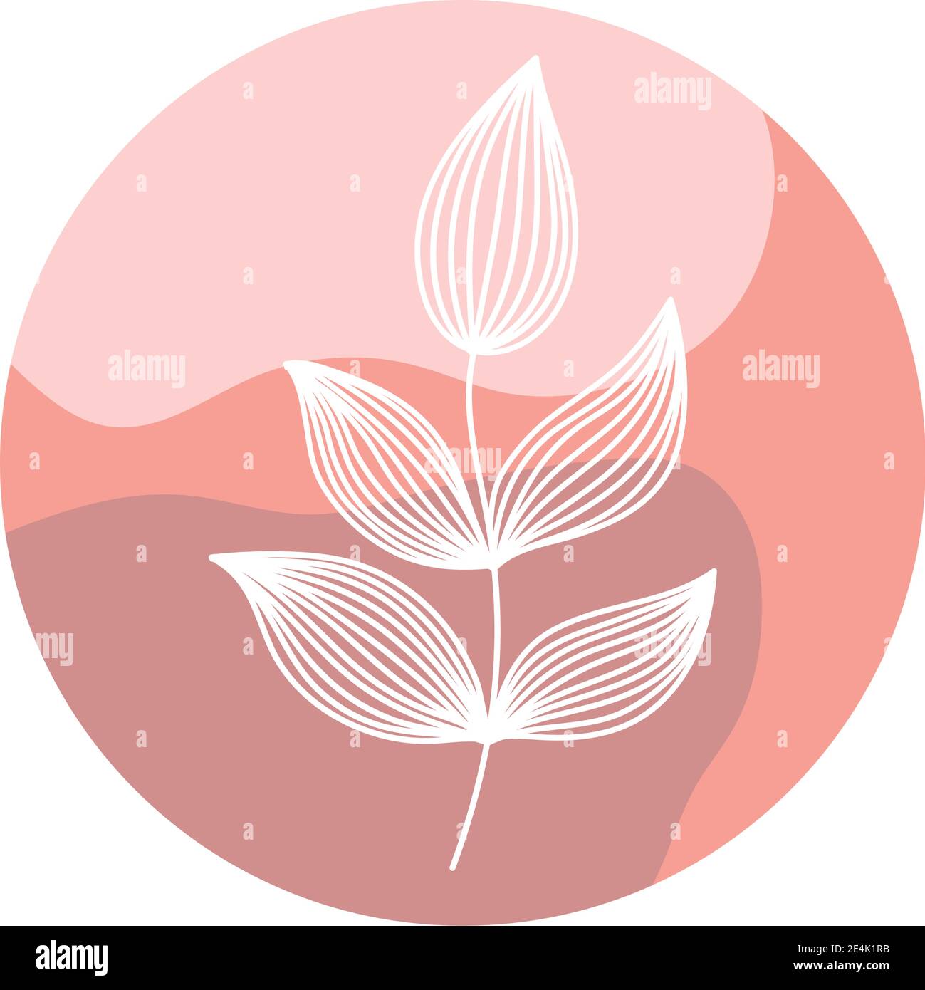 Boho highlights Stock Vector Images Alamy