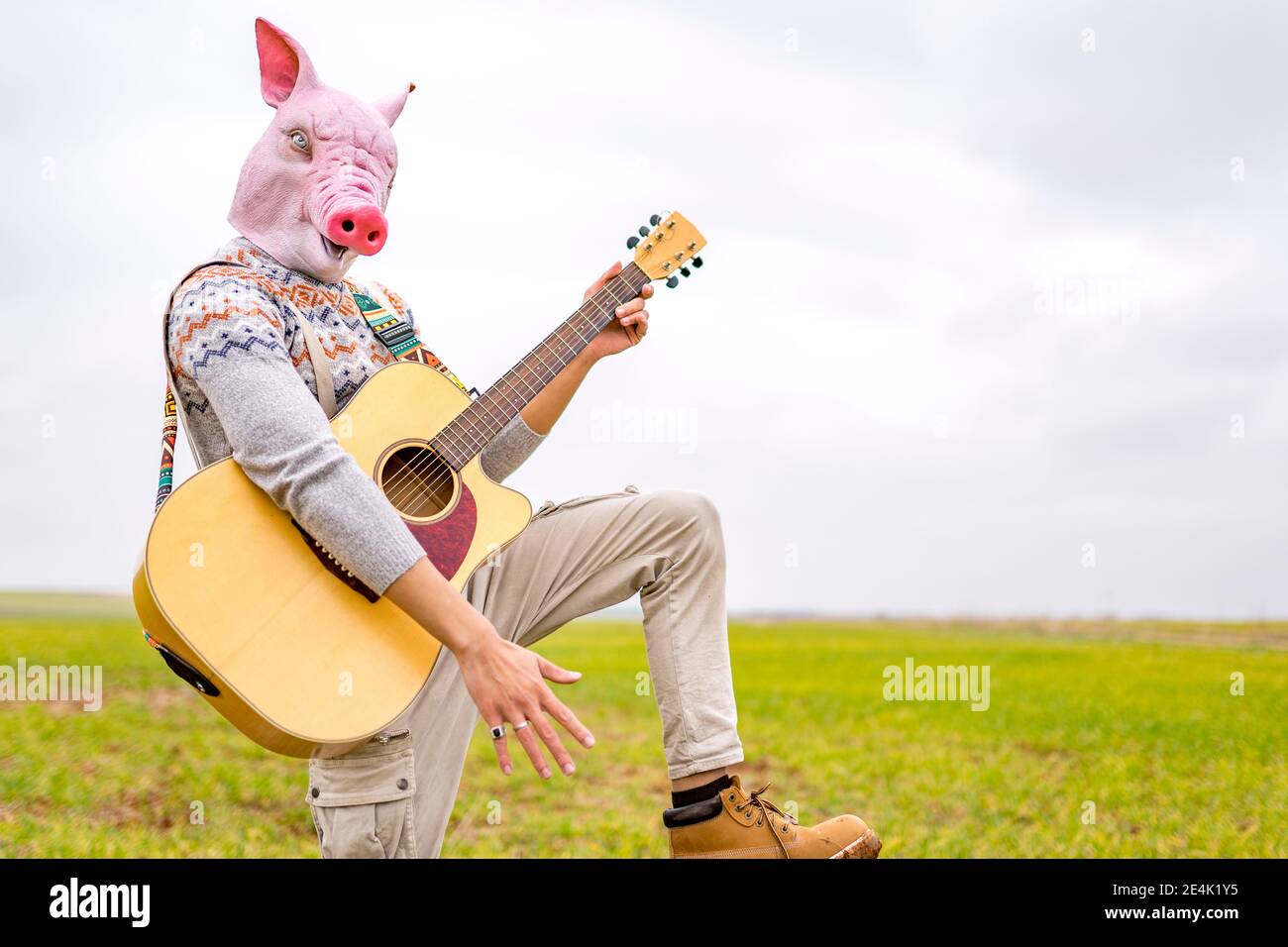 Portrait of young man wearing pig mask playing guitar in grassy field