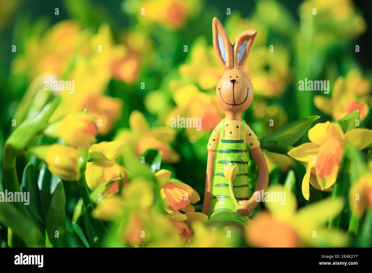 In easter switzerland hi-res stock photography and images - Alamy