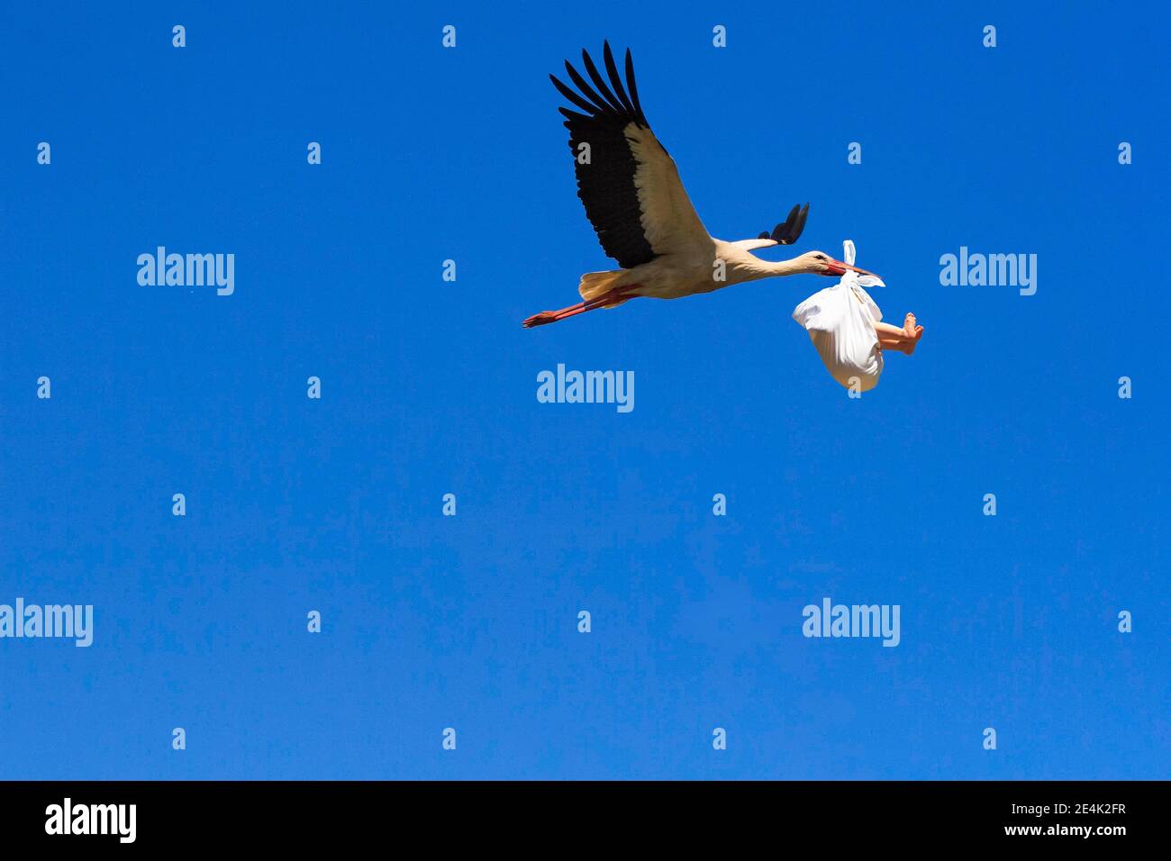 Photomontage, flying stork with baby in beak brings offspring, digital composition Stock Photo