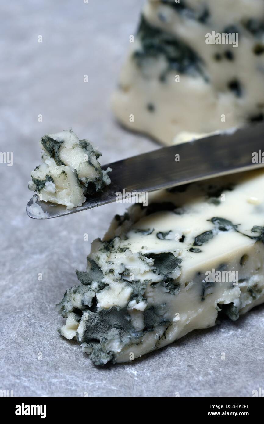 Roquefort, blue cheese Stock Photo Alamy