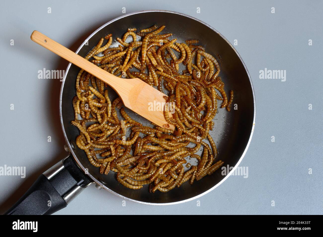 Fried mealworms in pan, Tenebrio molitor Stock Photo