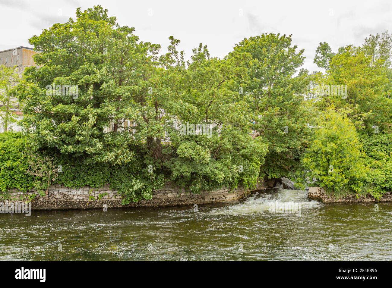 Water entering the River Corrib (Middle River) from a canal with ...