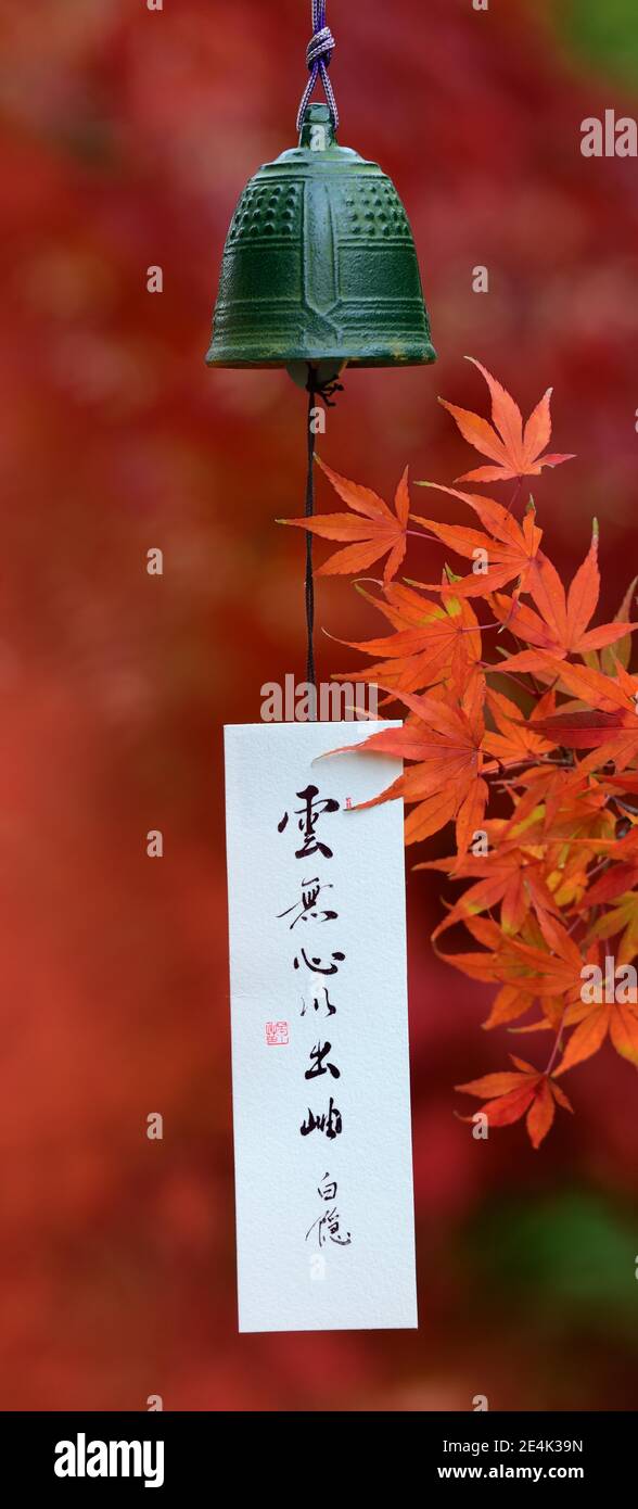 Japanese wind bell and maple leaves in autumn colours, wind bells