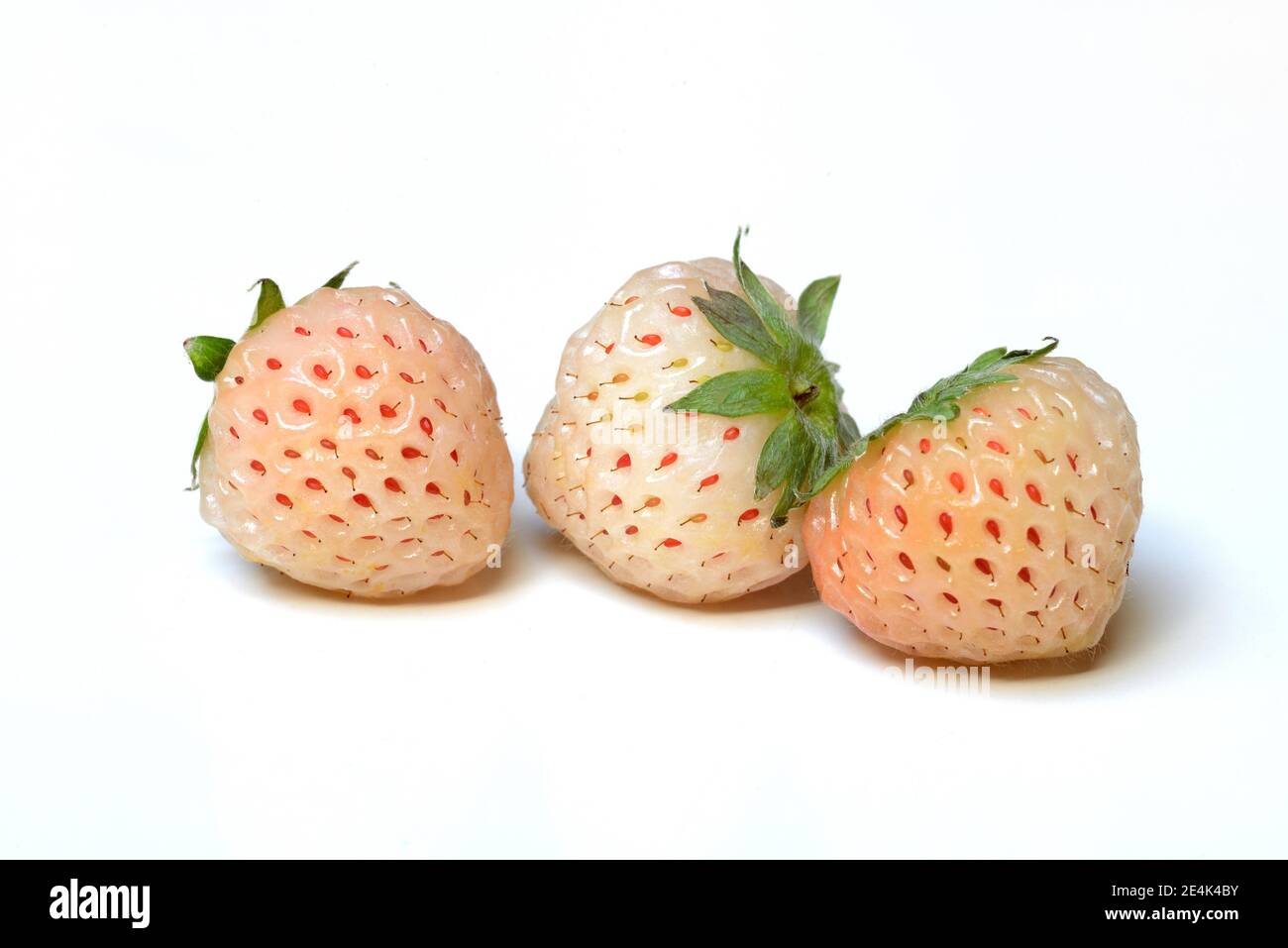 White strawberries, Fragaria x ananassa, Pineberry, Pineberries Stock Photo
