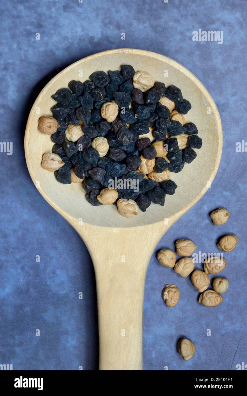 Black and light chick peas in wooden spoon, Puglia, Cicer arietinum, Ceci Neri, Cece Nero, Italy Stock Photo
