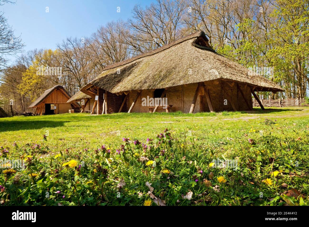 Replica of a farmstead from the time around 800 AD, Sachsenhof open-air museum, Greven, Muensterland, North Rhine-Westphalia, Germany Stock Photo