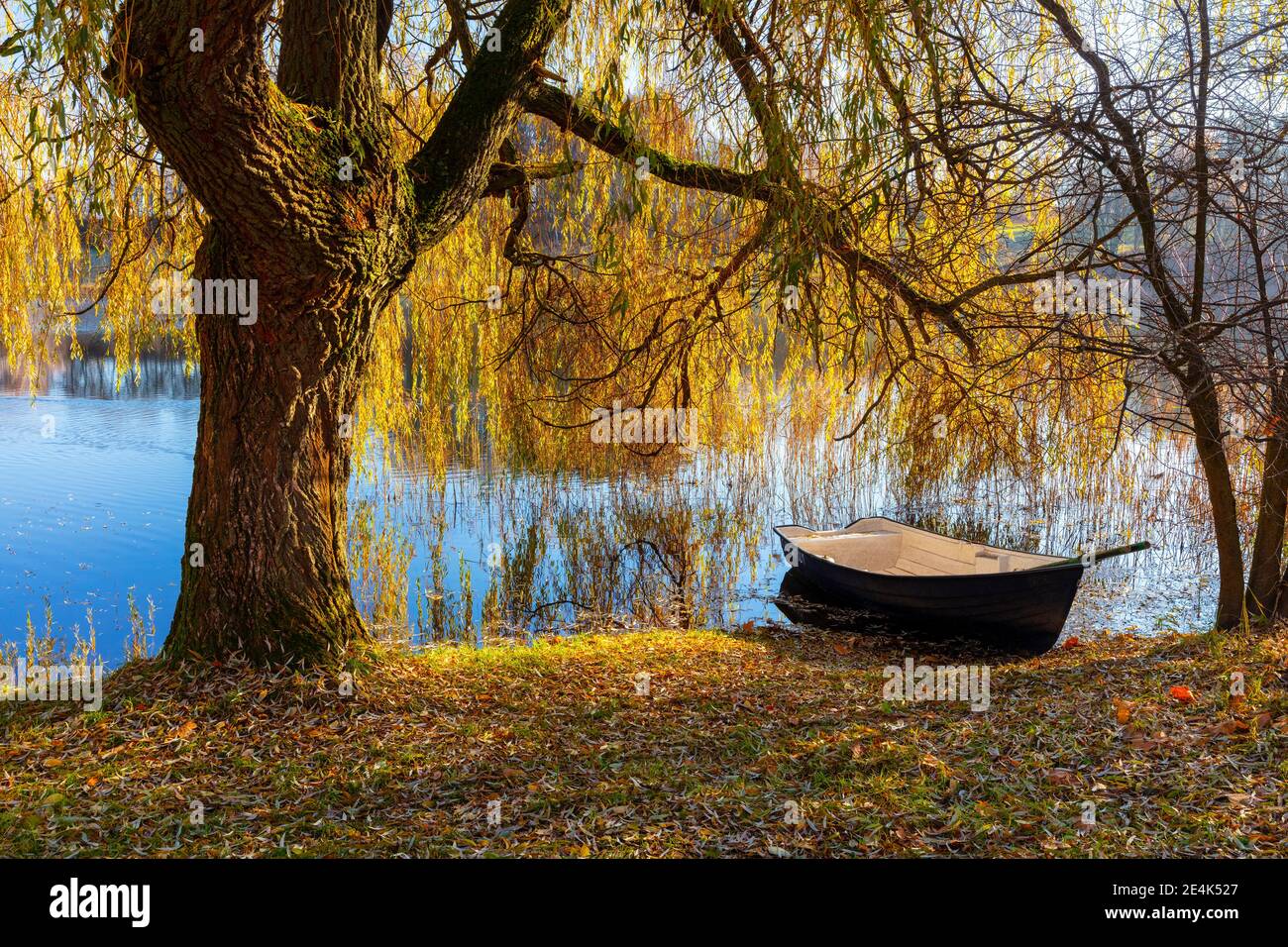 Warmia and Masuria, boat and willow by the lake, Poland Stock Photo