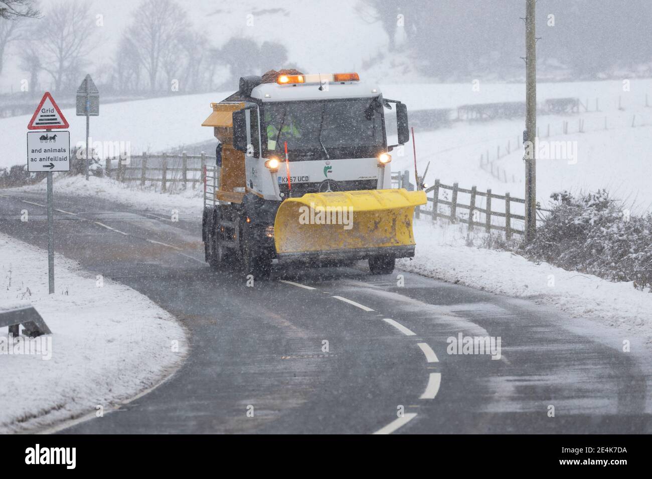 Flintshire, North Wales, UK Wednesday 24th January 2021, UK Weather:  Heavy snowfall in North Wales with a Met Office weather warning in place snow as a weather front tracks eastward across the country. Flintshire gritting vehicles begin a days of grititng in the area near Brynford with snow expected for most of the day in the area  © DGDImages/Alamy Live News Stock Photo