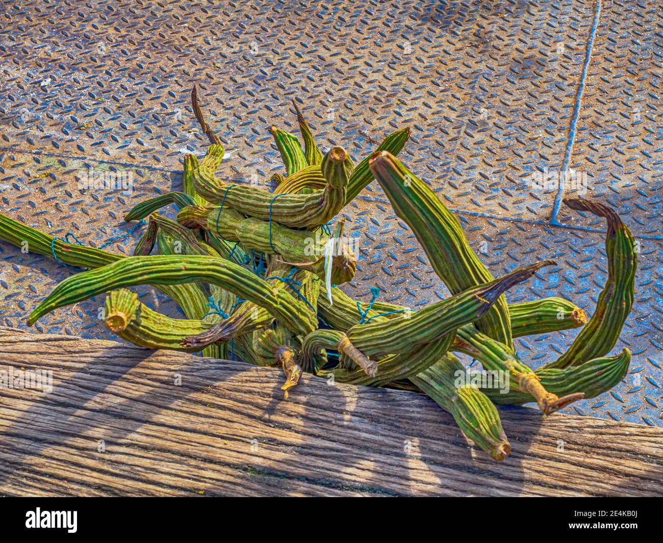 The guama, guaba, pepeto, paterna or inga is a plant native to Central