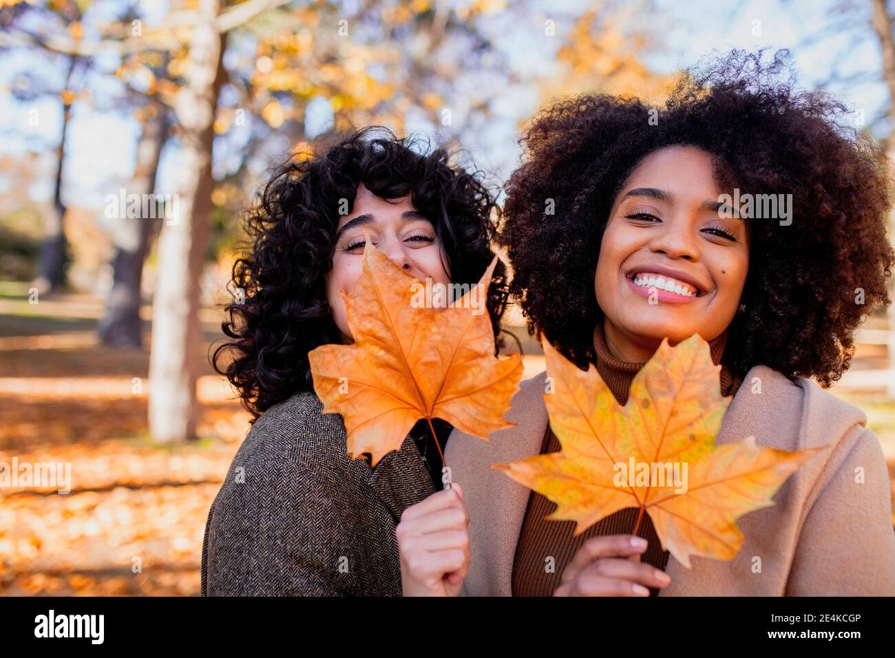 Smiling friends holding dry maple leaf while standing at park Stock Photo