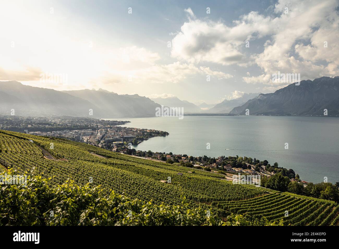 Vineyards and town on lakeshore with mountains in distance Stock Photo