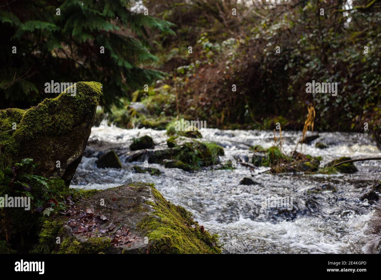 Co monaghan hi-res stock photography and images - Alamy