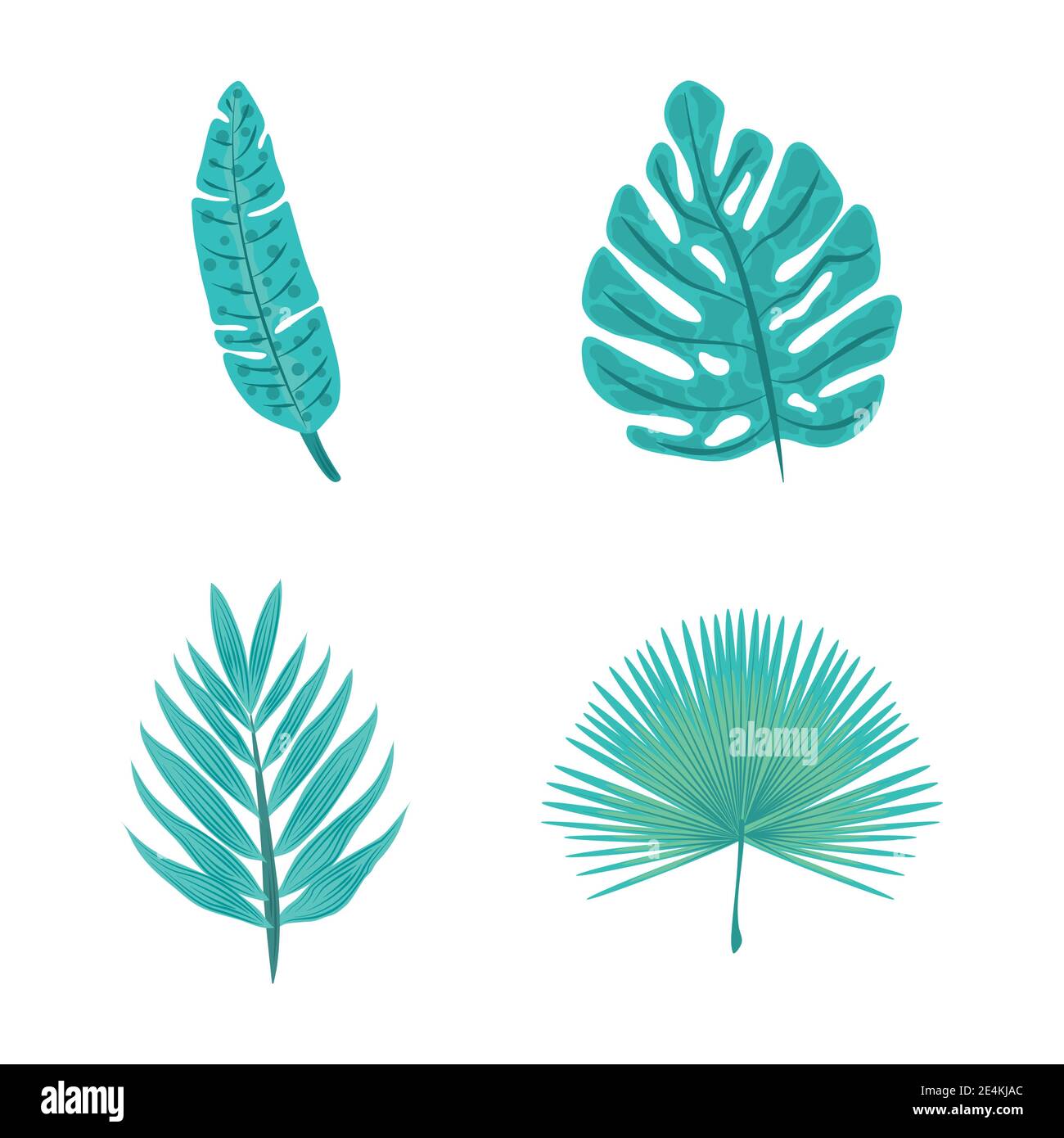 tropical palm leaf foliage nature flora icon set flat design vector ...