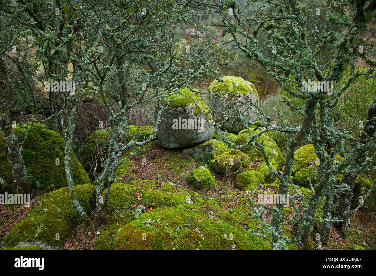 Parque natural sierra andujar hi-res stock photography and images - Alamy