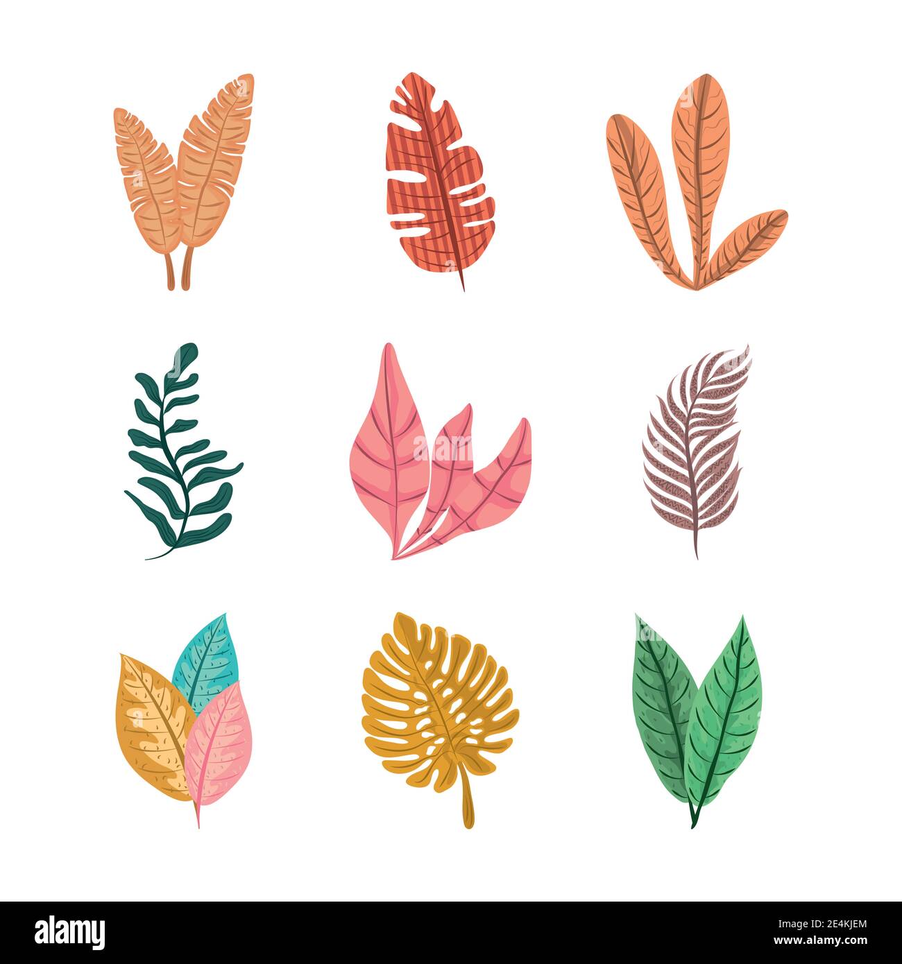 tropical leaf leaves foliage nature decoration icon set flat design ...