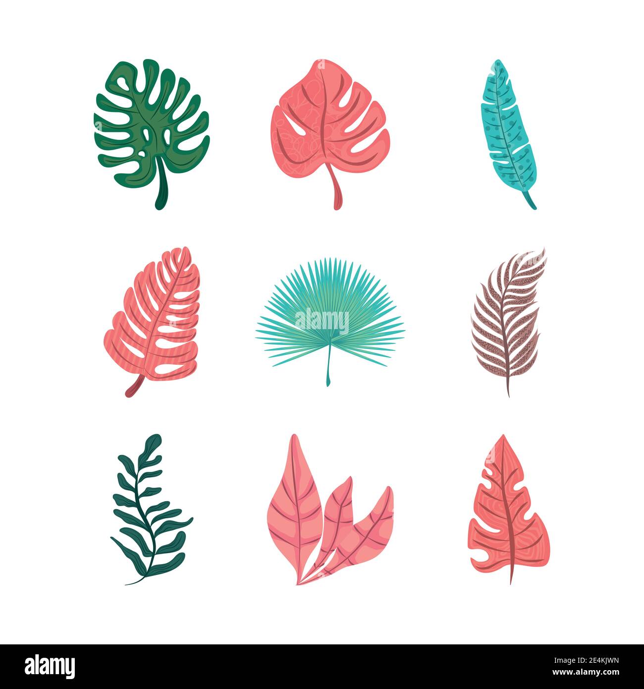 tropical leaf foliage exotic nature icon set flat design vector ...