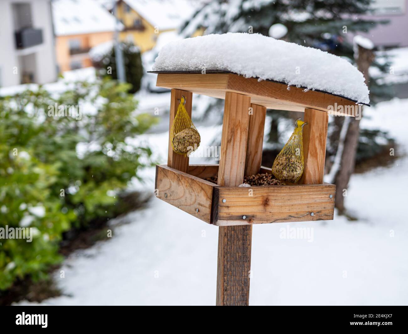 Bird house covered with bird seed and snow Stock Photo Alamy