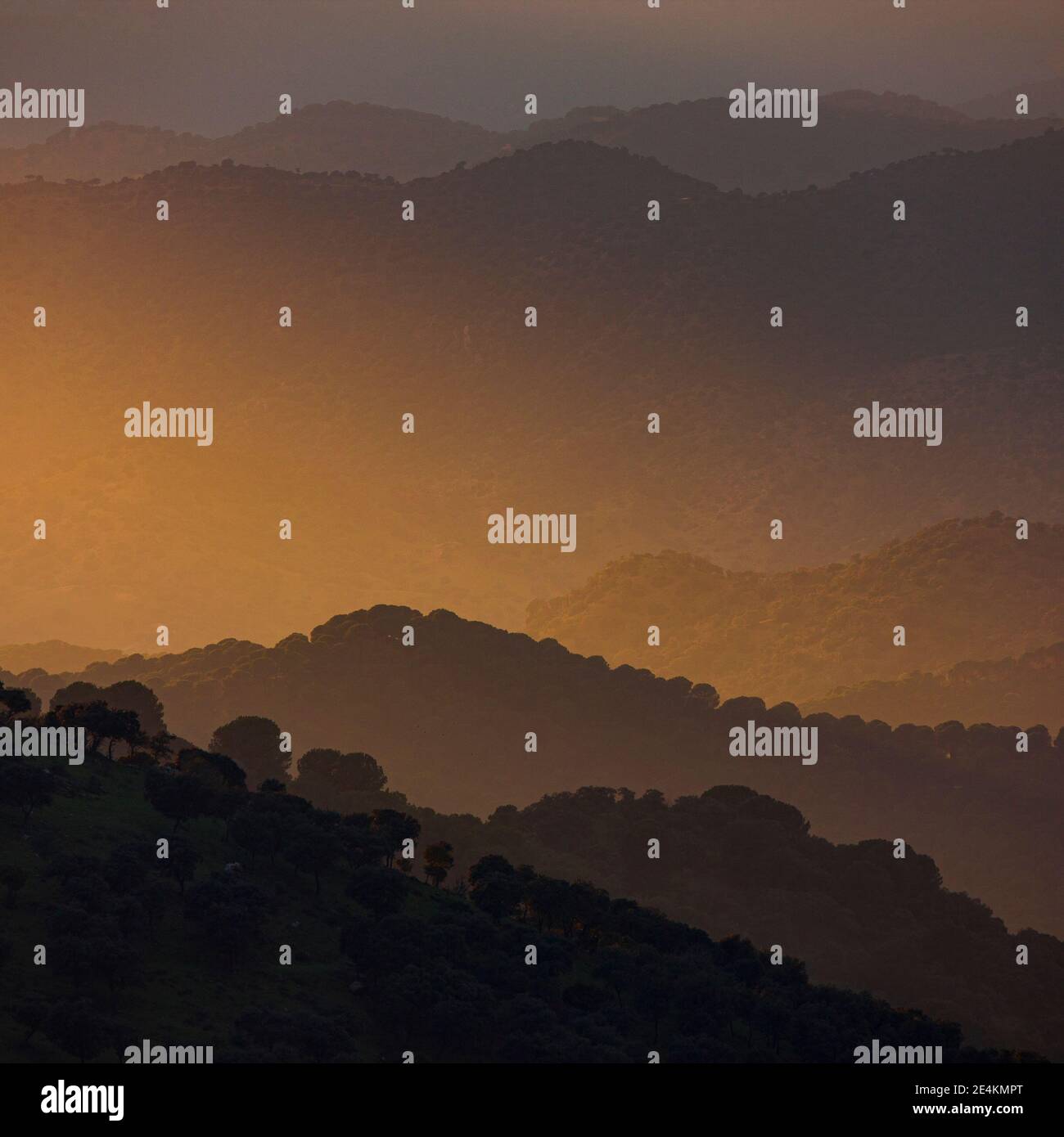 Parque natural sierra andujar hi-res stock photography and images - Alamy