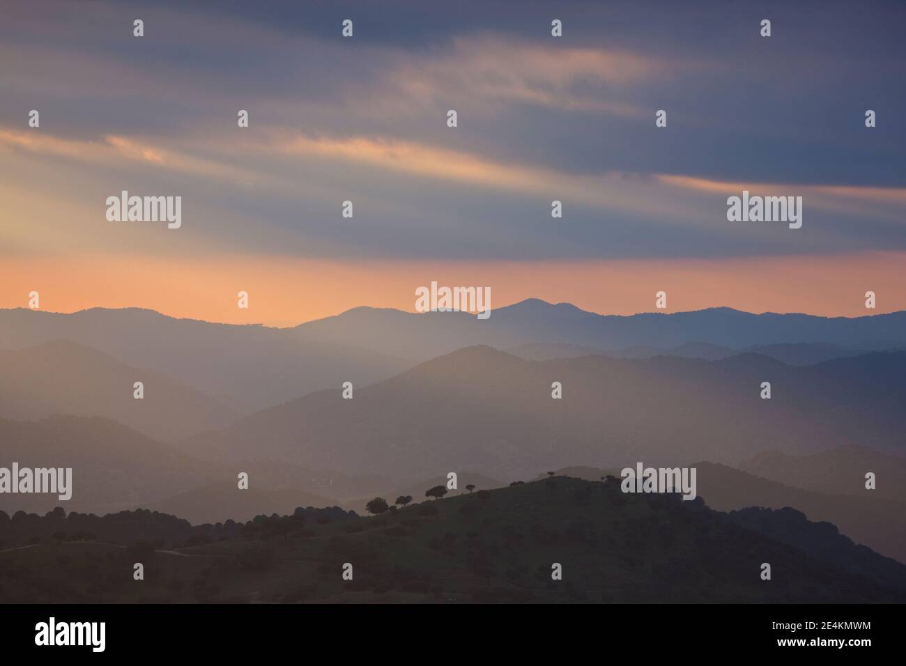 Parque natural sierra andujar hi-res stock photography and images - Alamy