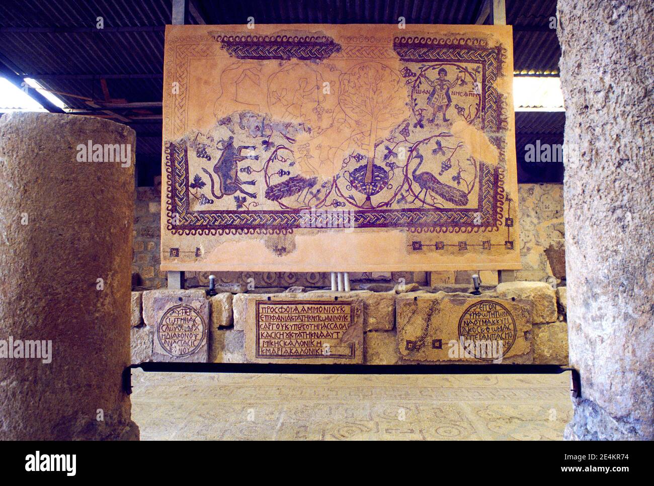 Mount Nebo Jordan Memorial Church of Moses Mosaic Missing Parts Penciled in Stock Photo