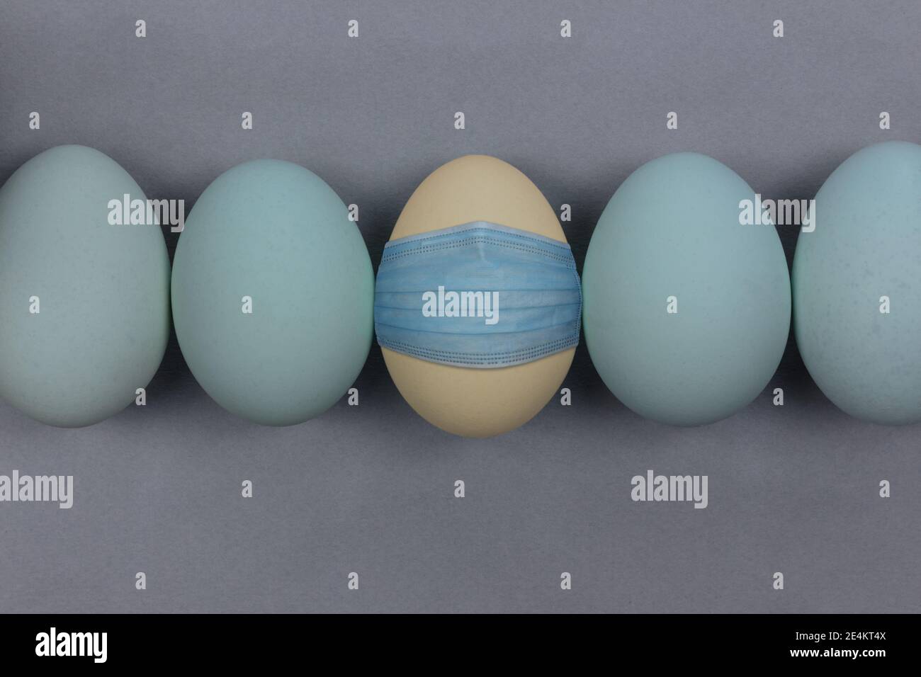a yellow egg wearing a blue face mask in a row of blue eggs on a gray background, theme for covid or coronavirus Easter or other humorous concept, wit Stock Photo