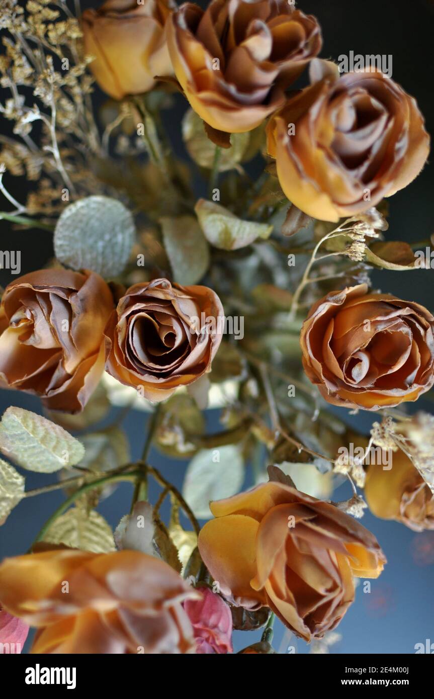 A top view close up of autumn brown colored artificial roses on black background. Vertical Stock Photo
