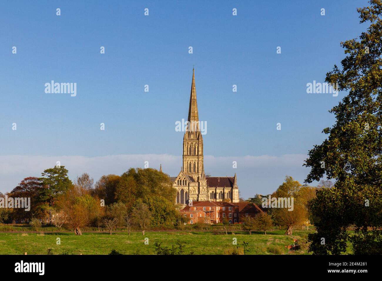 View across the Harnham Water Meadows towards the spire of Salisbury Cathedral, south of Salisbury, Wiltshire, UK. Stock Photo