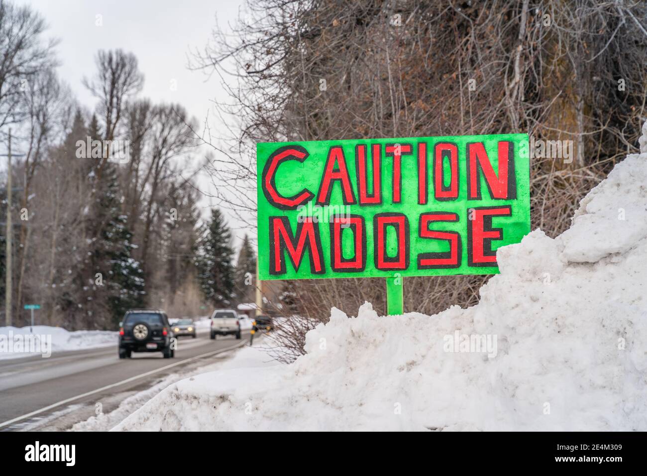 Sign in snow bank along side of road reading 'Caution Moose' in bright green with red letters Stock Photo