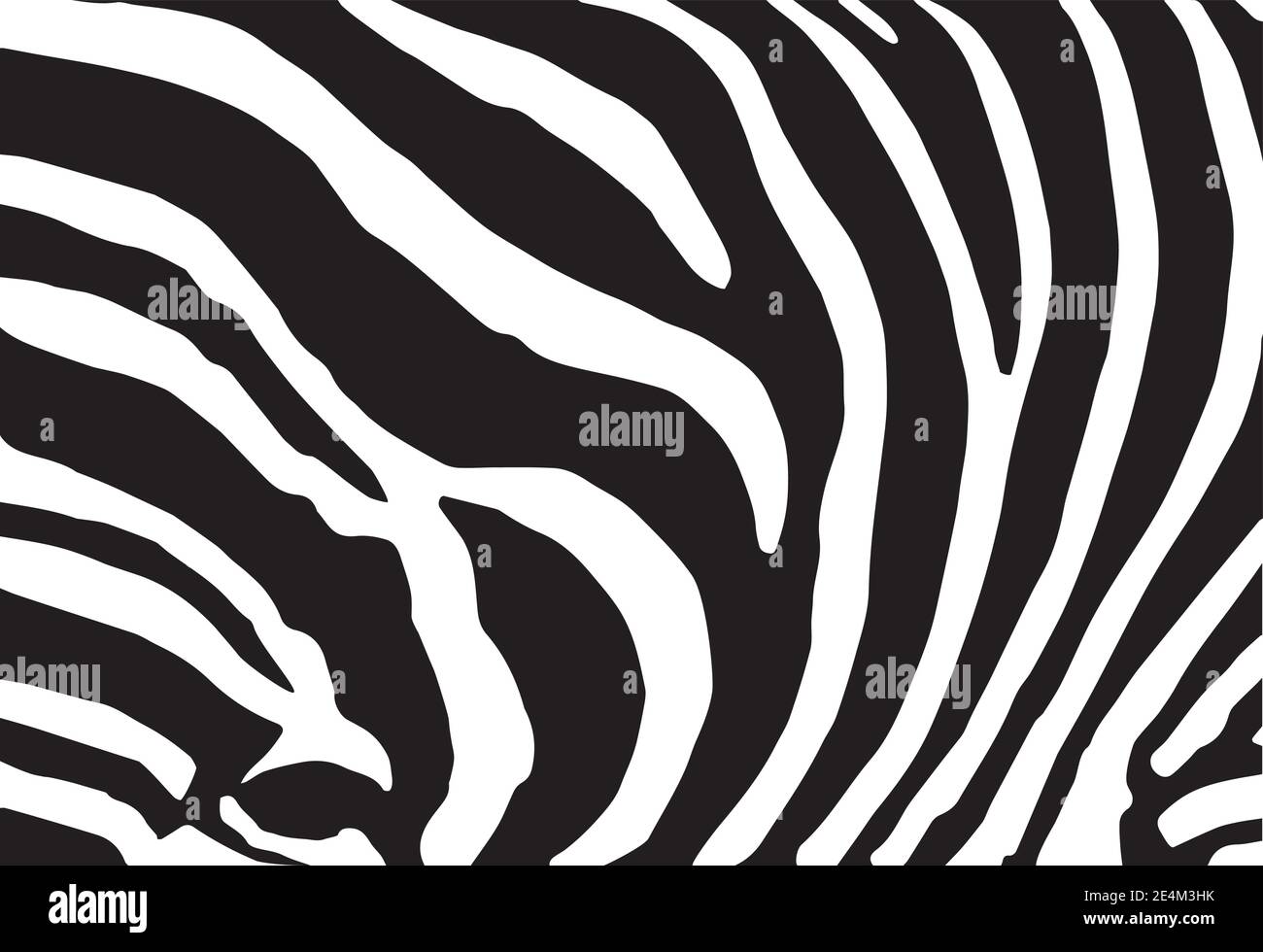Abstract background skin of a zebra, white and black color. Easy editable layered vector illustration. Stock Vector