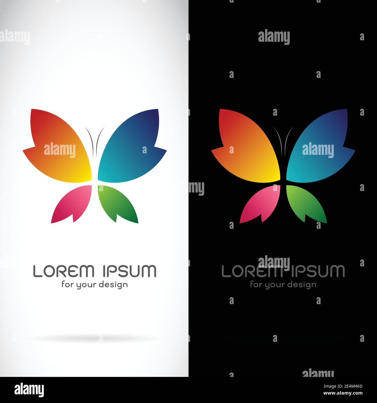 Vector of butterfly design on black background and white background ...