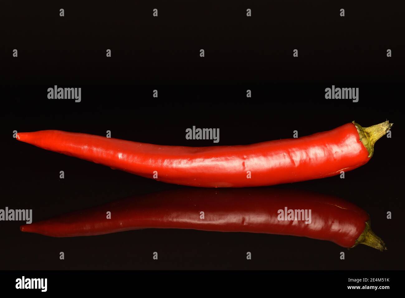One whole spicy fragrant red hot pepper on a black background. Stock Photo