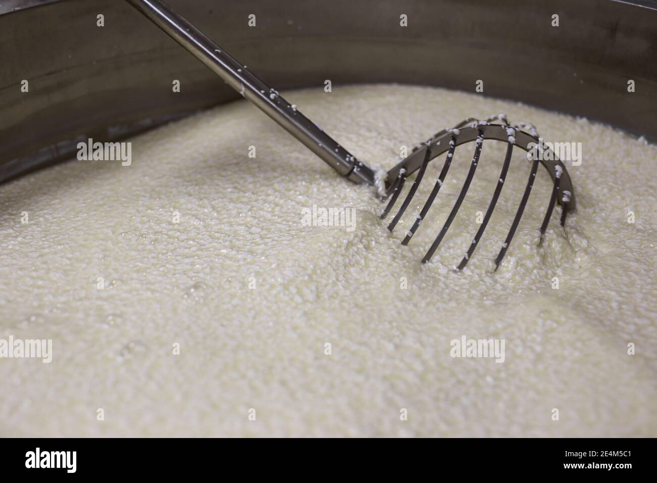 equipment of a private cheese factory and stages of preparation and ...