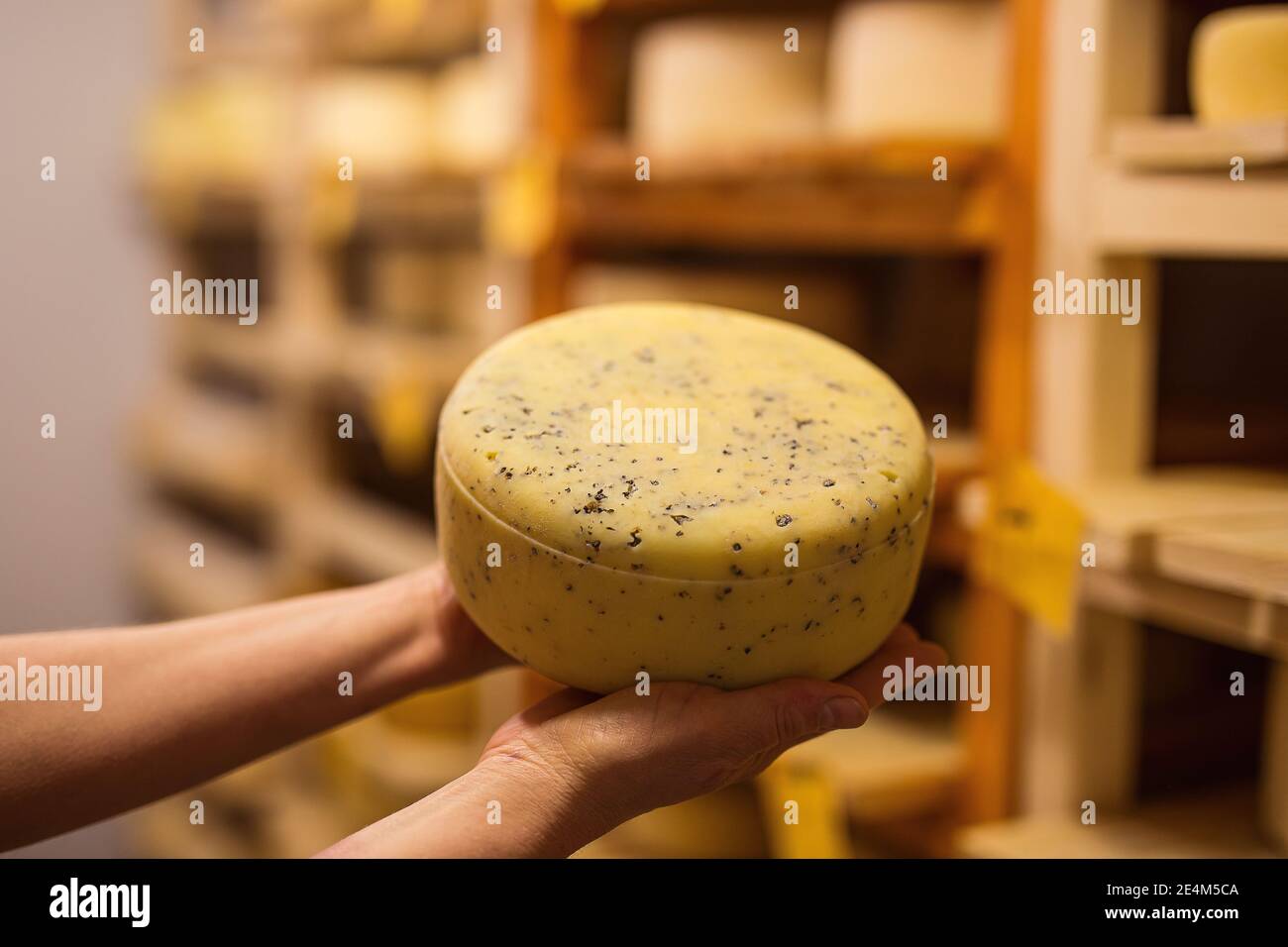 equipment of a private cheese factory and stages of preparation and ...