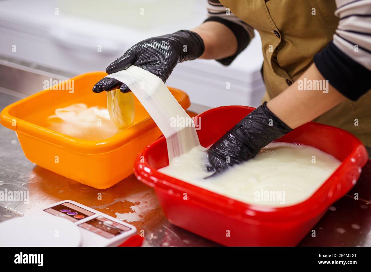 equipment of a private cheese factory and stages of preparation and ...