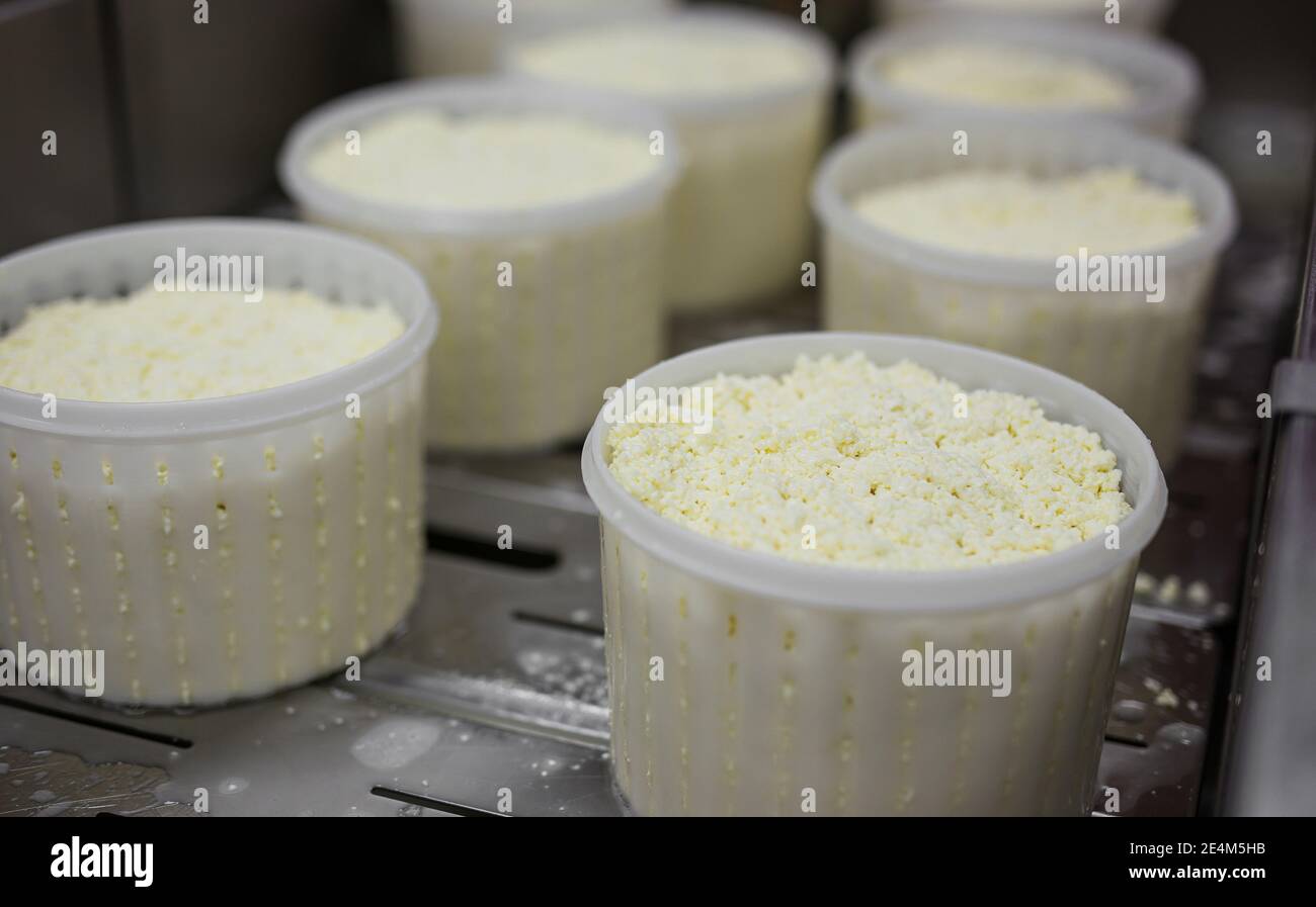equipment of a private cheese factory and stages of preparation and ...