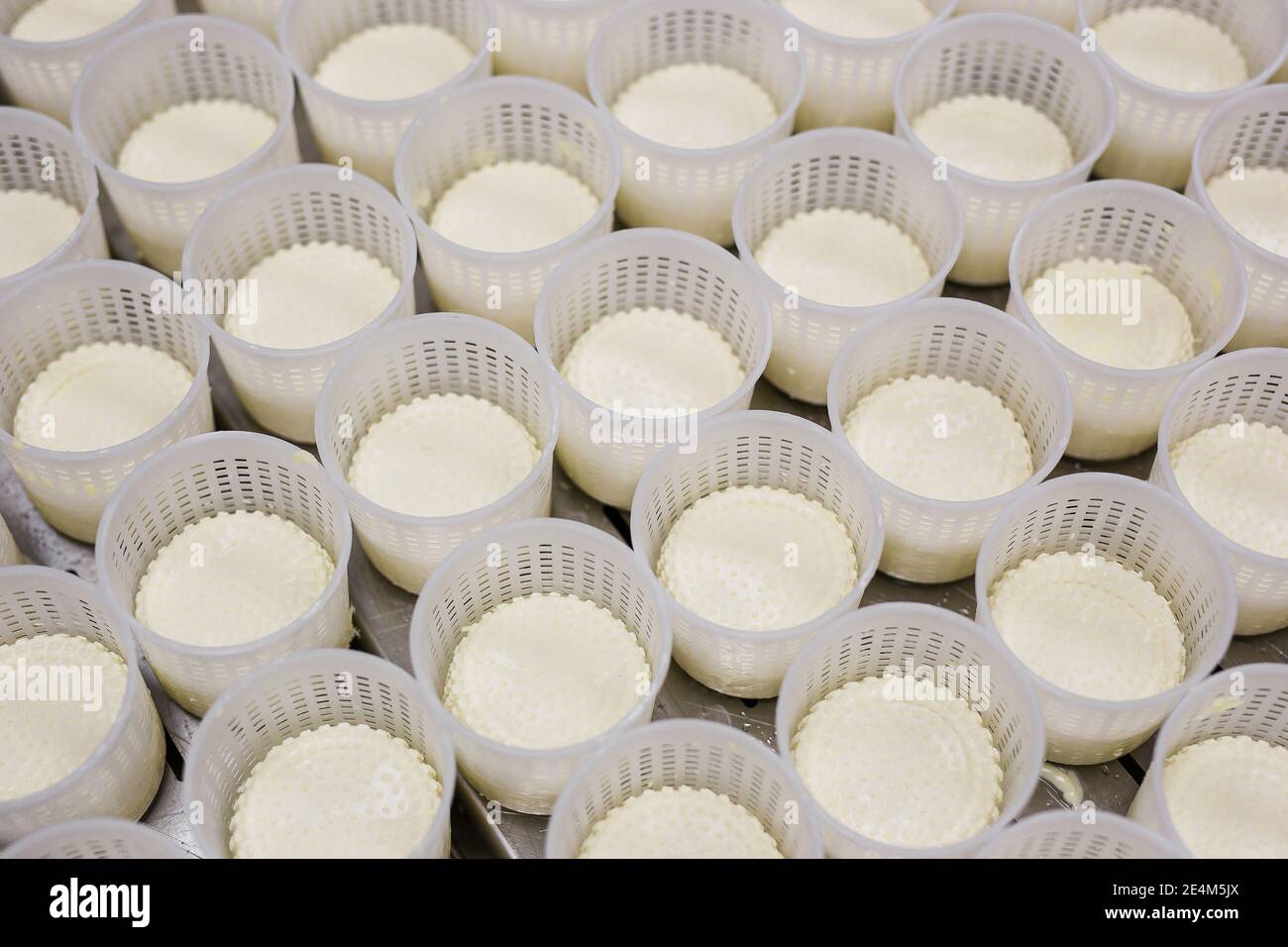 equipment of a private cheese factory and stages of preparation and ...
