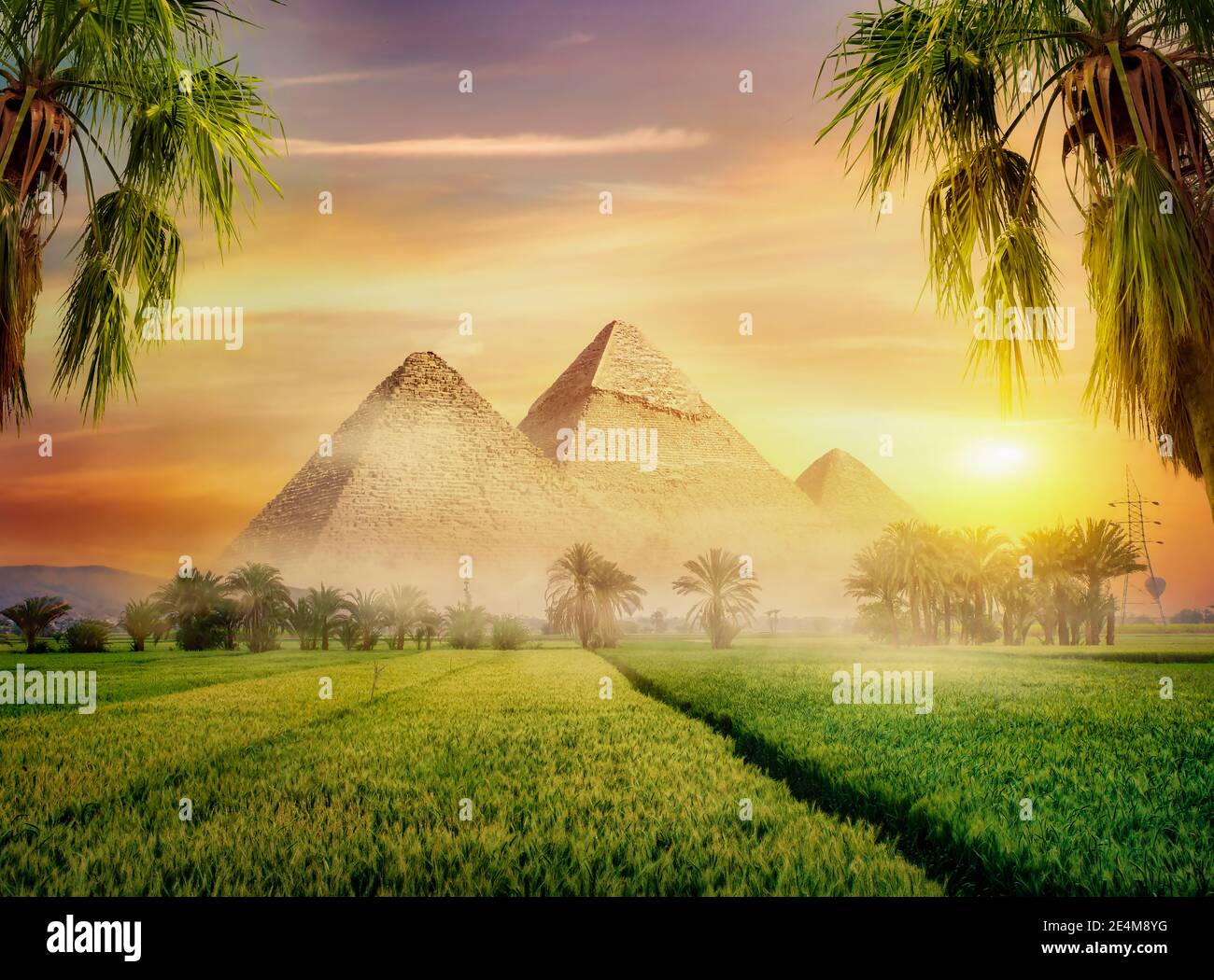 Egyptian pyramids in green field at foggy morning Stock Photo - Alamy