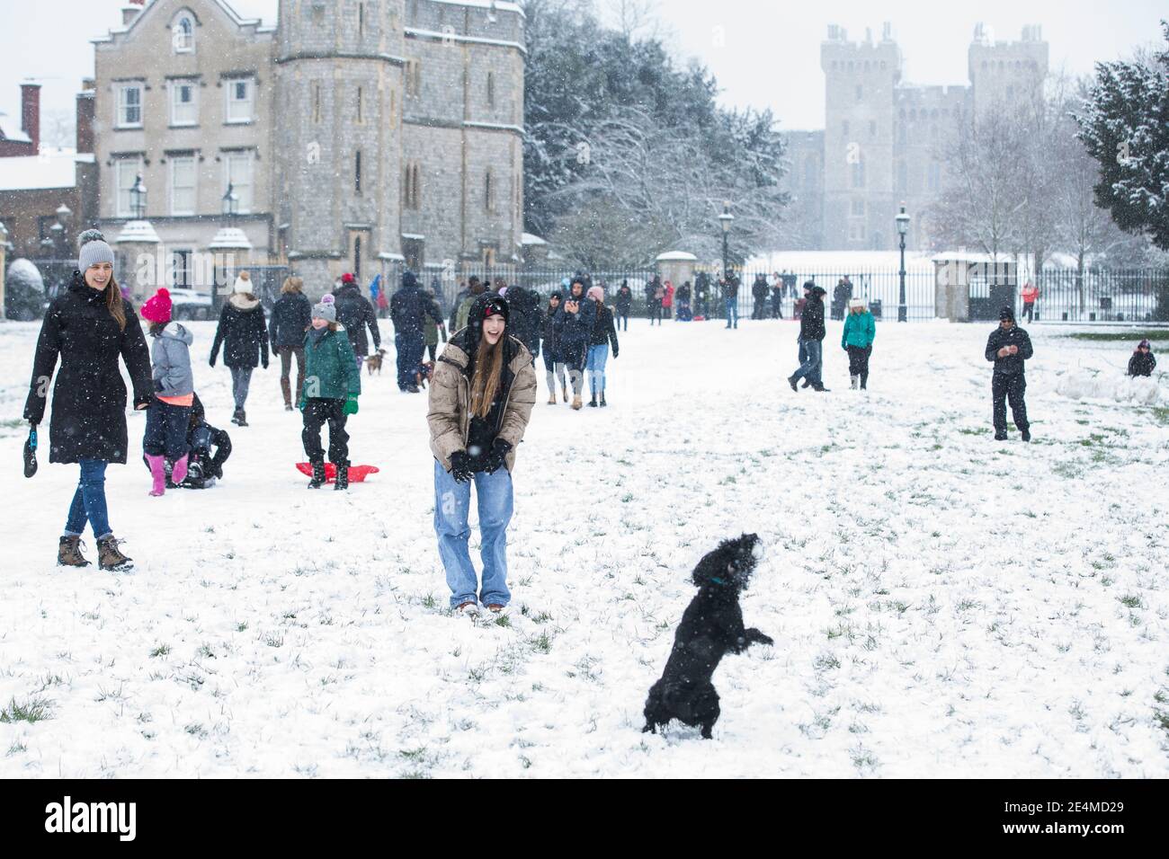 Windsor, UK. 24 January, 2021. Locals enjoy the first snowfall of 2021