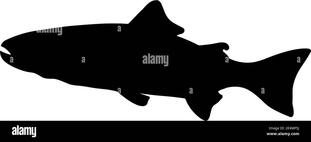 black fish silhouette isolated on a white background. Vector ...
