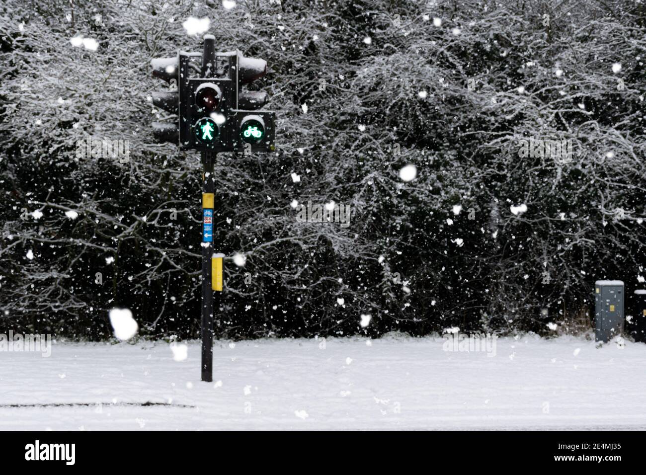 Green traffic light for pedestrians on snowy street during snowfall in England, United Kingdom (UK) Stock Photo