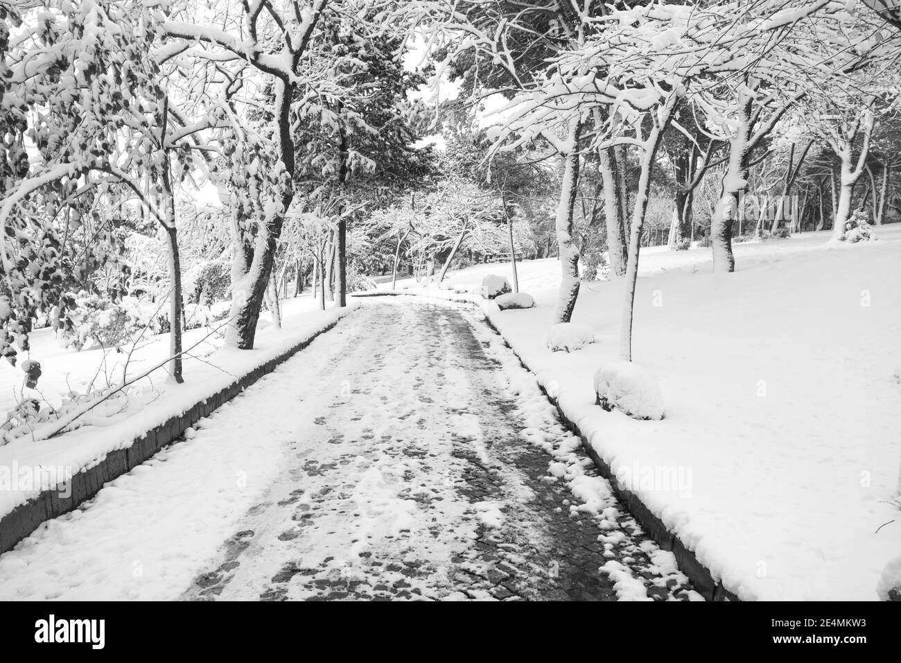 Road in the forest in winter and snowy grounds Stock Photo - Alamy