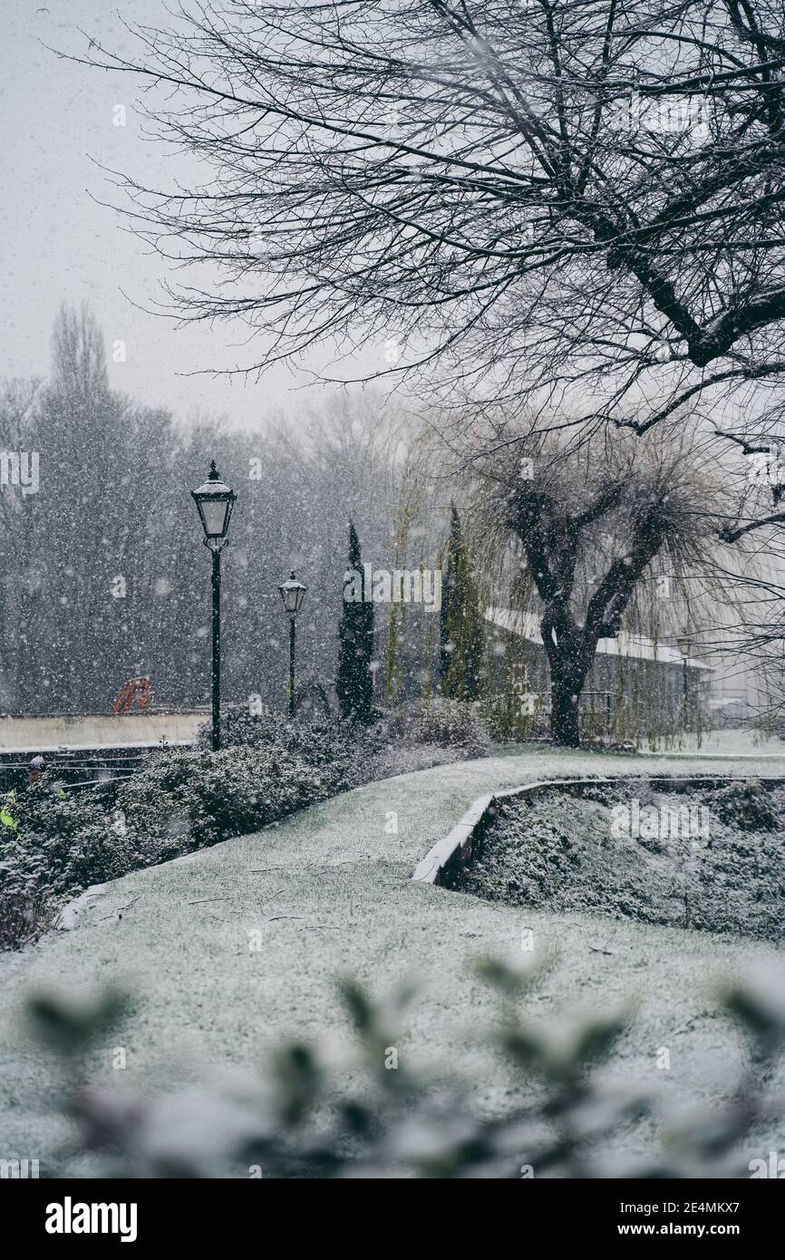 【中古】 冬のケンジントン・ガーデン Kensington gardens winter london hi-res stock photography and