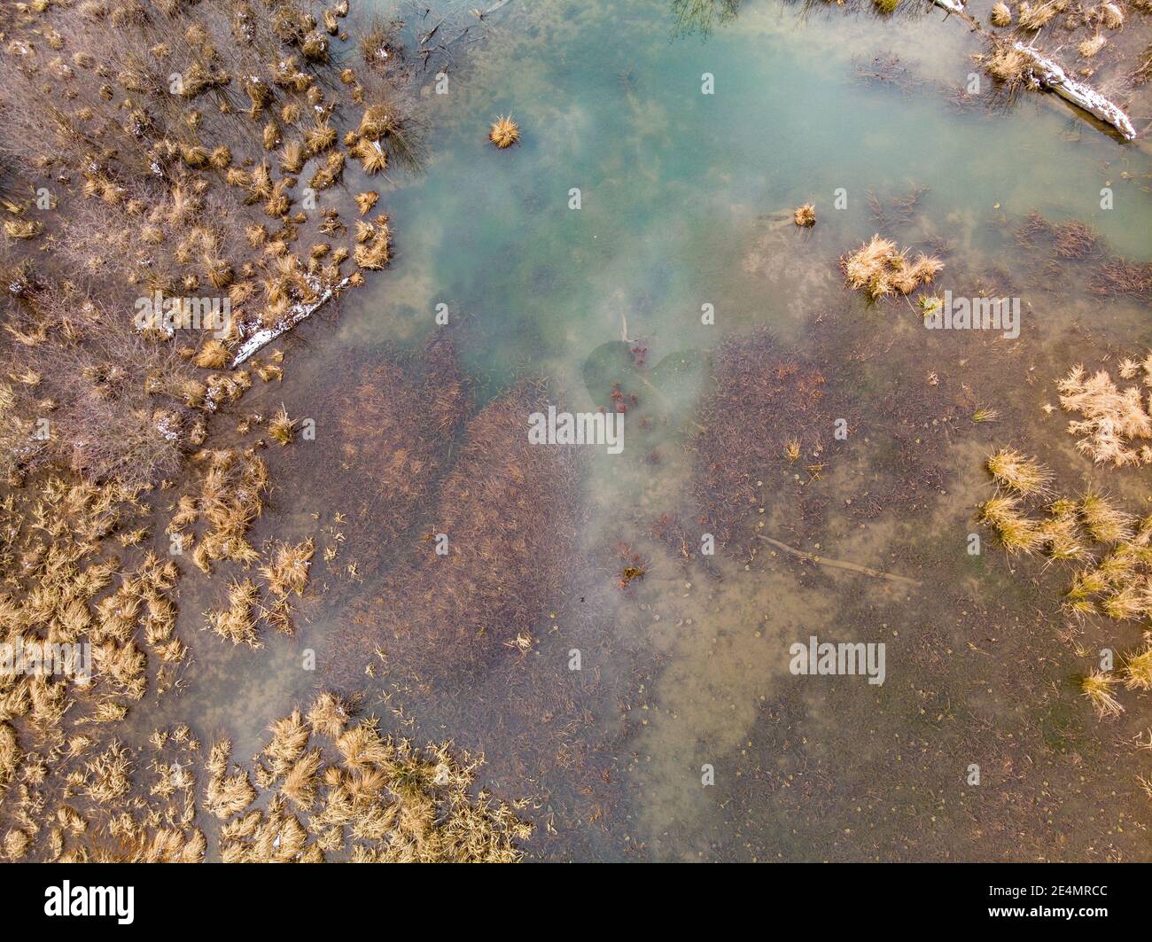 Hovering over a partially frozen wetland Stock Photo
