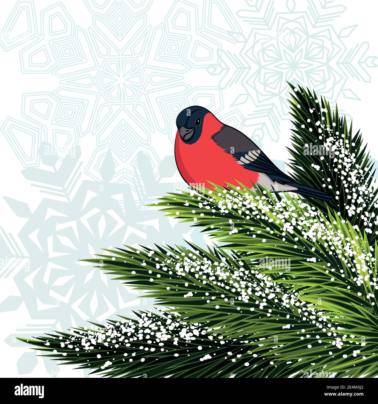 Bullfinch sitting on branch pine. Vector illustration. Stock Vector
