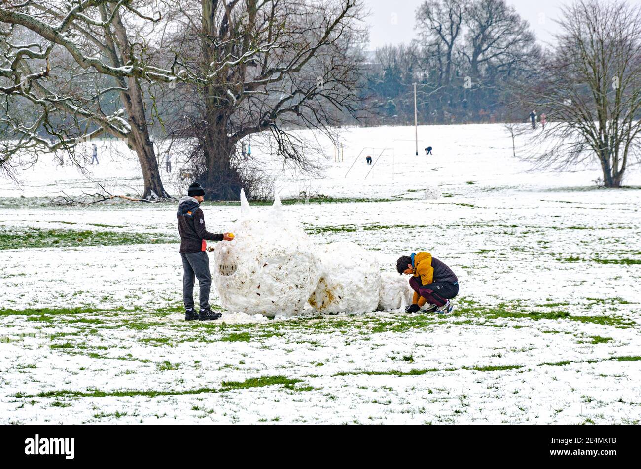 A couple of men have fun making a large caterpillar like creature, sculpted out of snow in Prospect Park, Reading, UK in the middle of winter. Stock Photo