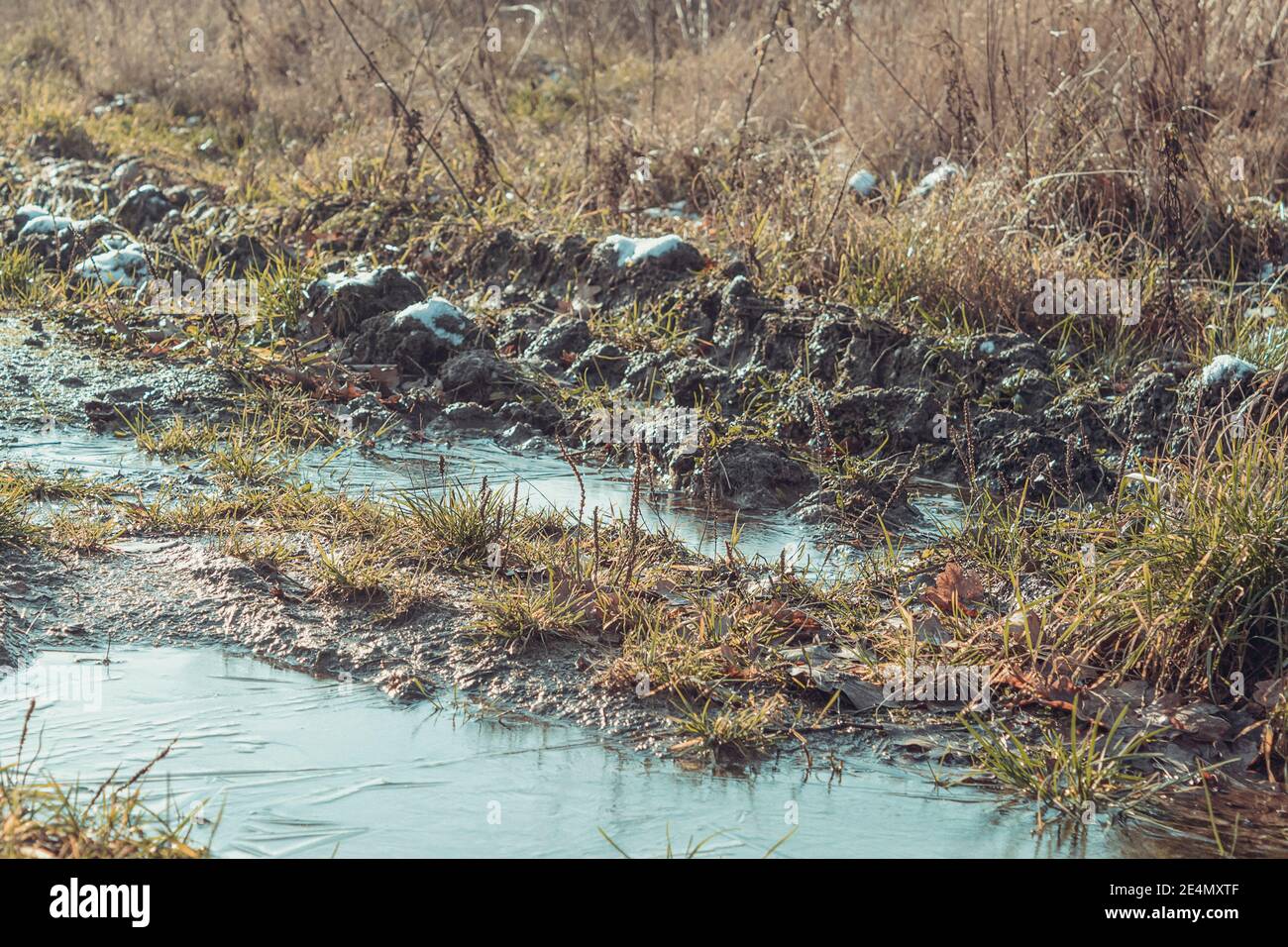 The puddle and swamp are covered with ice. Ice and frost bound the Swamp and mud. Landscape in a snowy forest. Swampy area during winter and frost Stock Photo