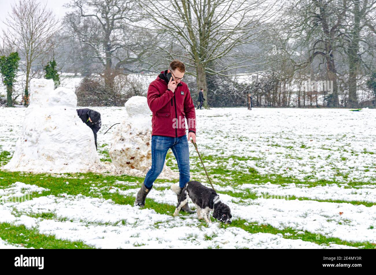 A man walks his dog while talking on his mobile phone through the snow in Prospect Park, Reading, Berkshire, UK. Stock Photo